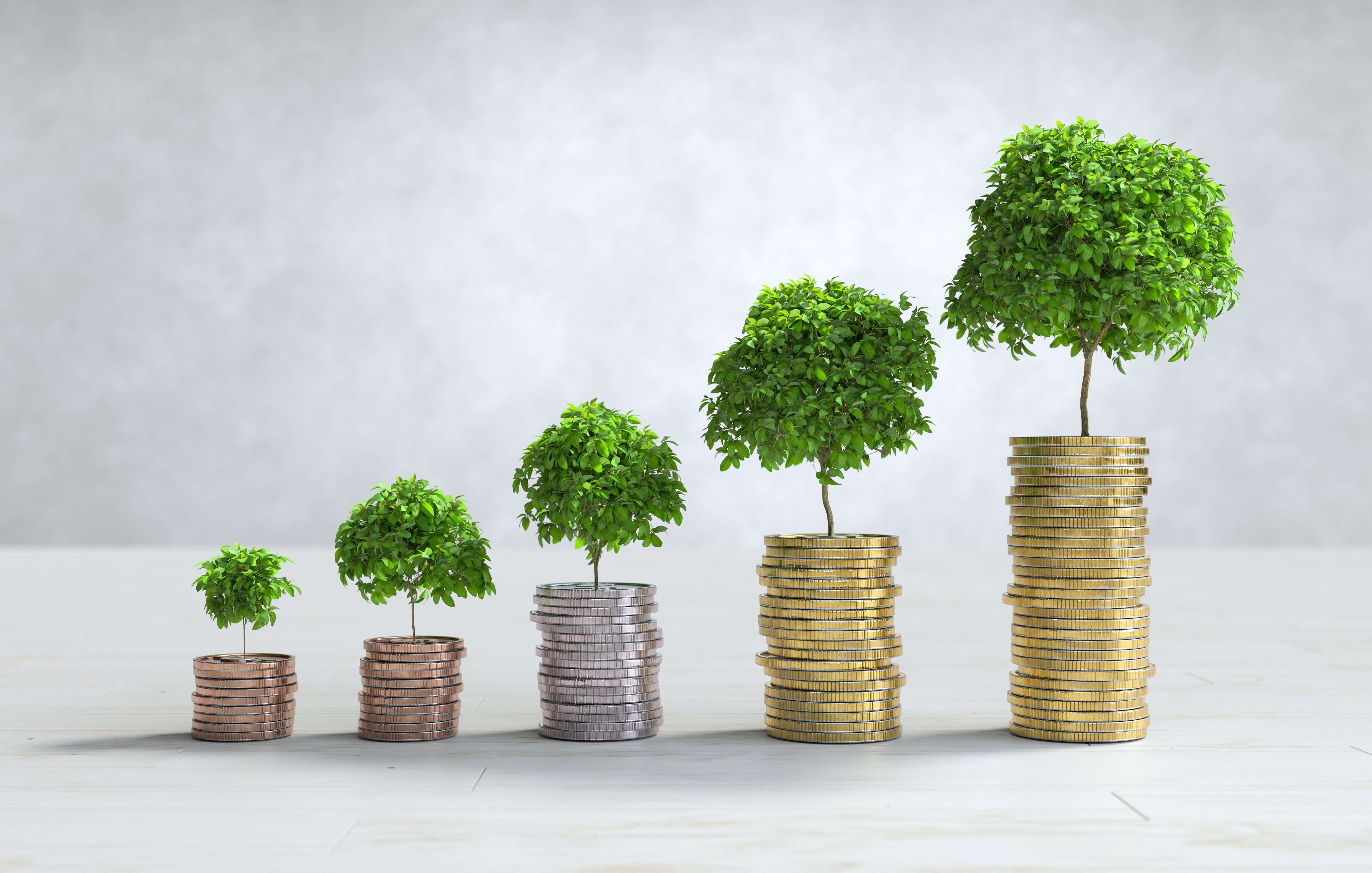 Investors & Capital Gains