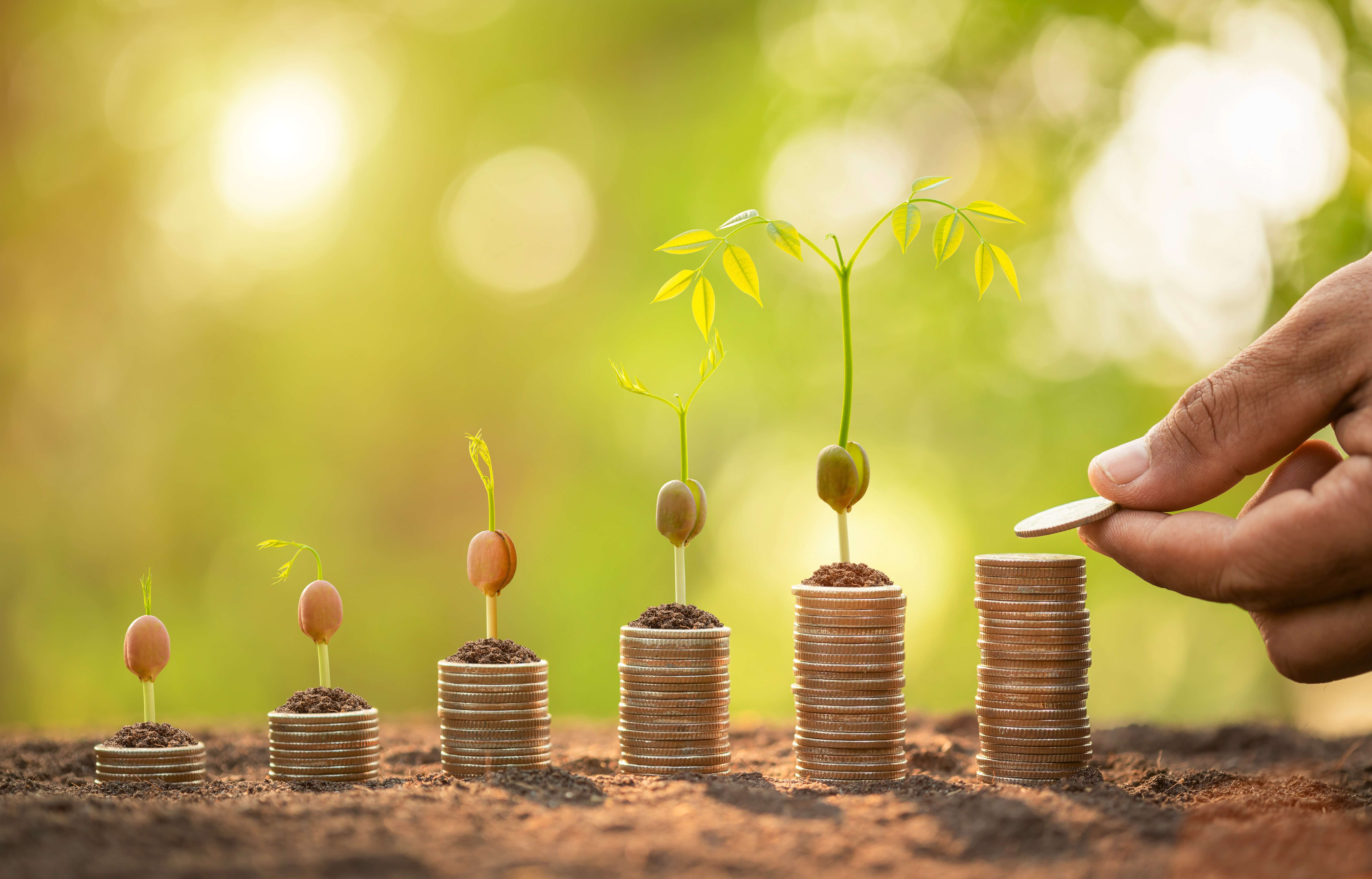 A financial journey with a trusted partner